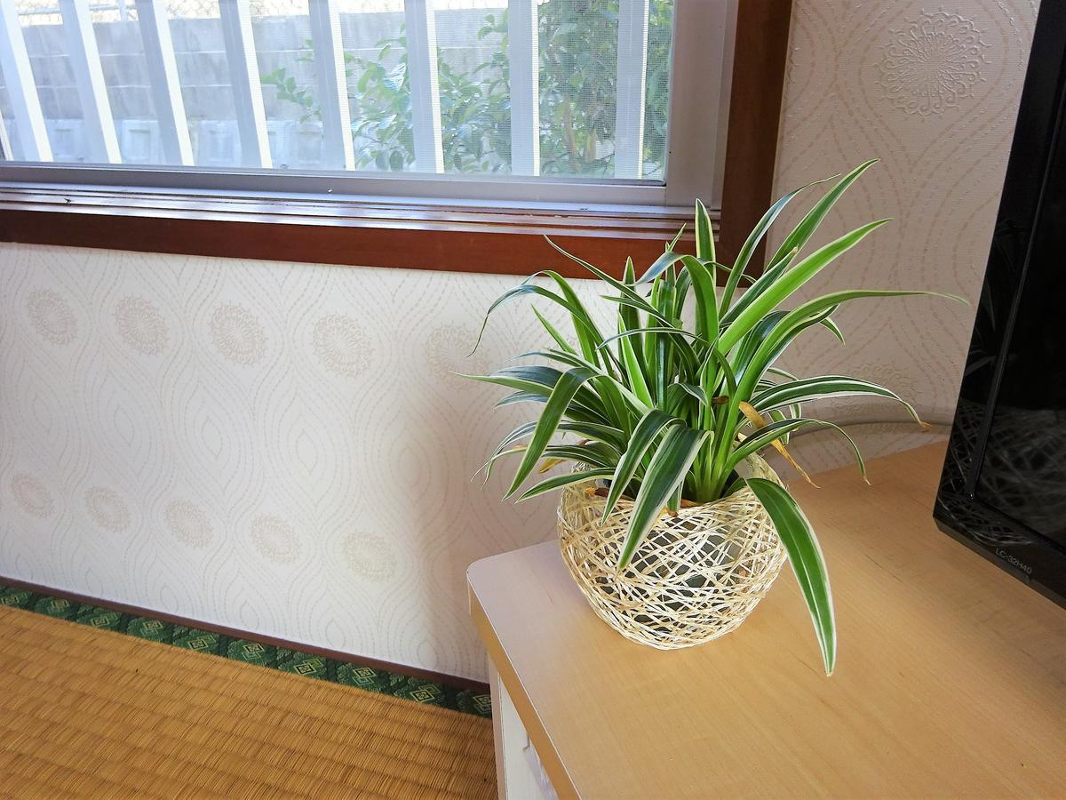 Hotel Minshuku Itoman Bettei Goyukkuri Zewnętrze zdjęcie